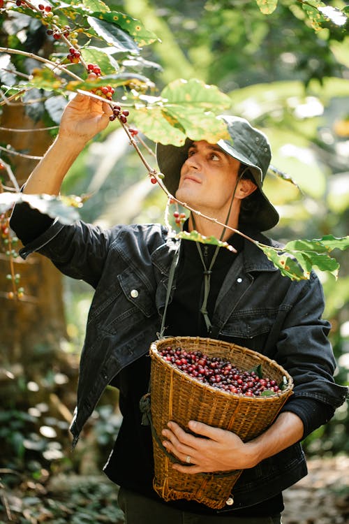 How Muso Coffee Supports Sustainable Coffee Practices